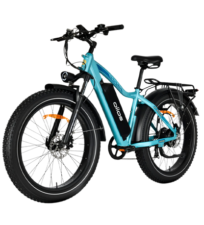 OIIOS QUANTA EBIKE