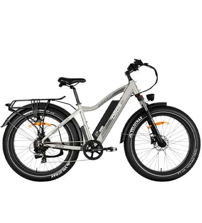OIIOS QUANTA EBIKE