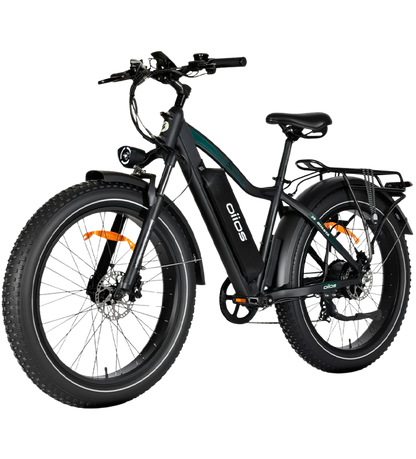 OIIOS QUANTA EBIKE