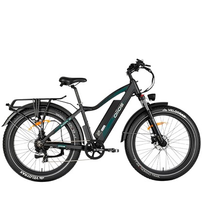 OIIOS QUANTA EBIKE