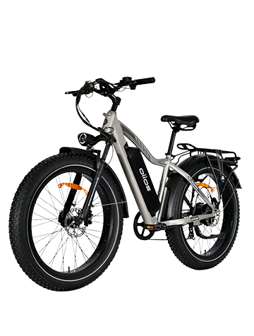 OIIOS QUANTA EBIKE