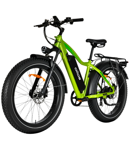 OIIOS QUANTA EBIKE