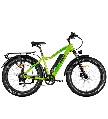 OIIOS QUANTA EBIKE