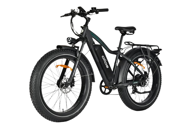 OIIOS QUANTA EBIKE