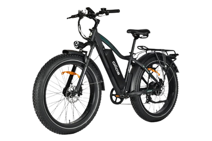OIIOS QUANTA EBIKE