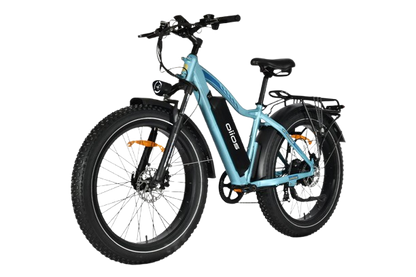 OIIOS QUANTA EBIKE