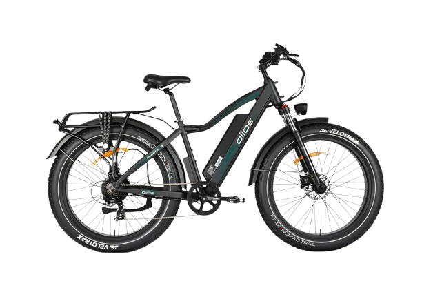 OIIOS QUANTA EBIKE
