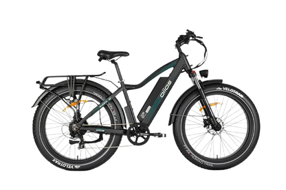 OIIOS QUANTA EBIKE