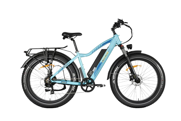 OIIOS QUANTA EBIKE