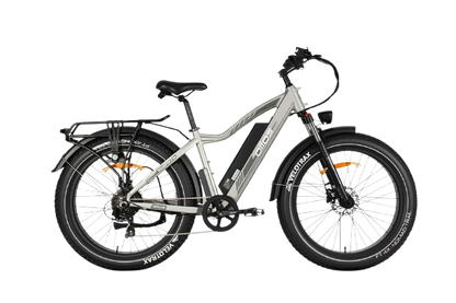 OIIOS QUANTA EBIKE